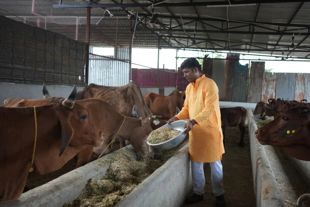 Gau Seva - Cow Care